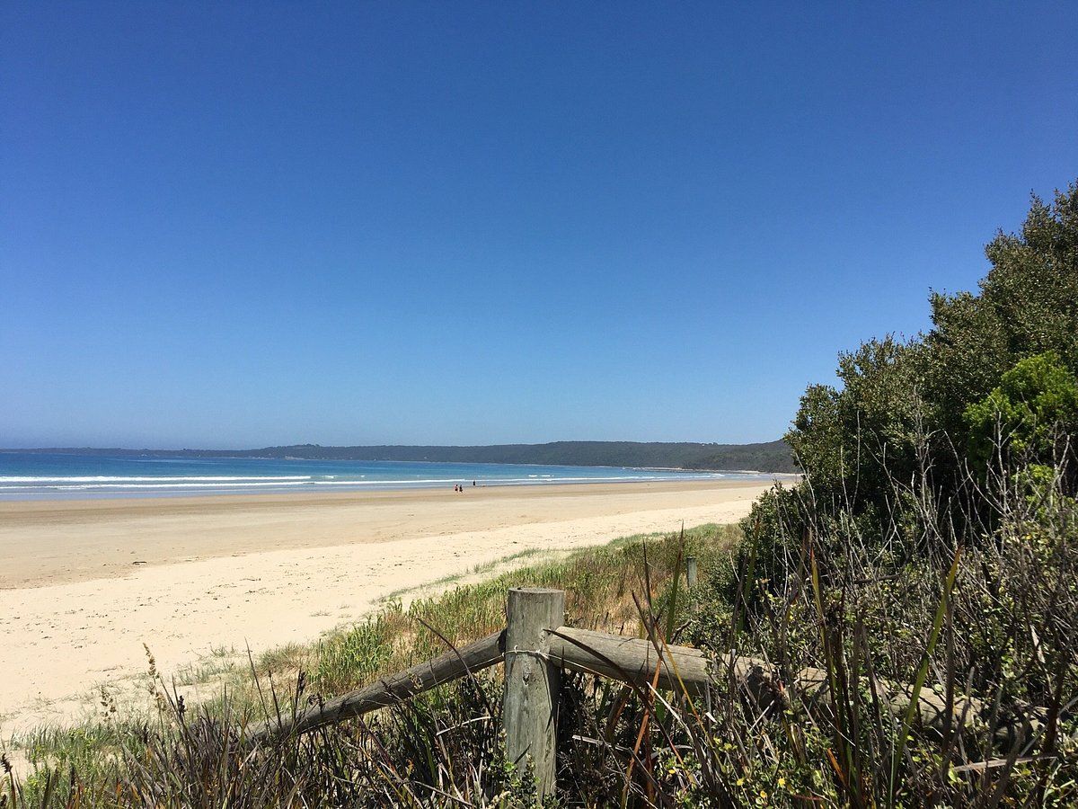 camping spots in waratah bay