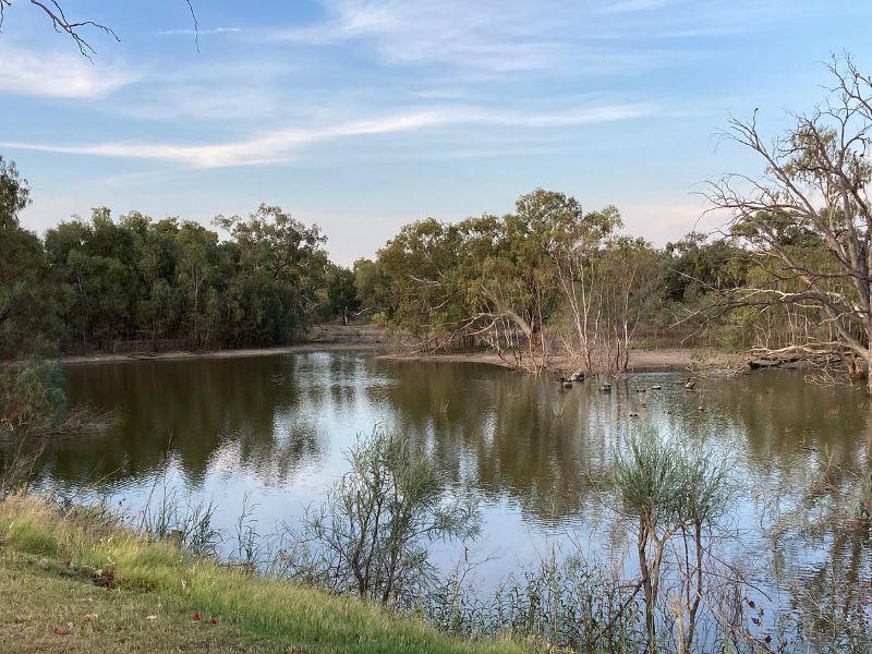 camping spots in wilcannia